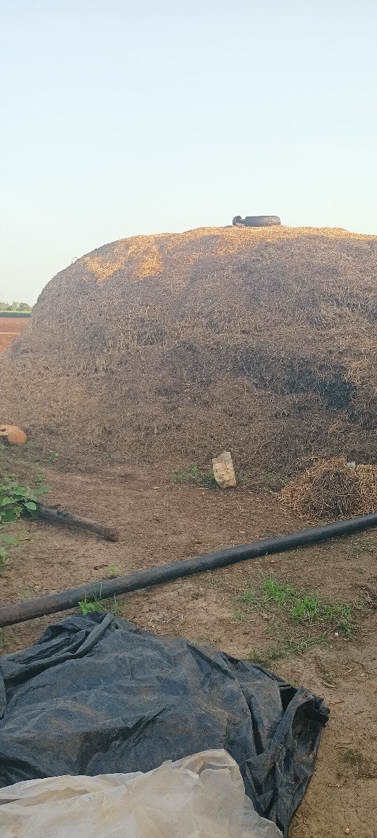 જી ૨૦ મગફળી નૌ ભૂકો