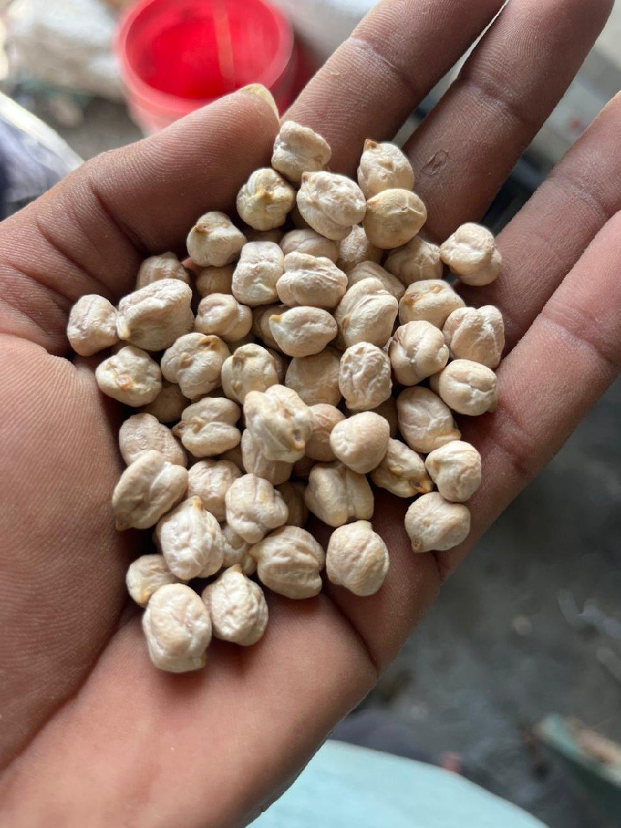 ચણા