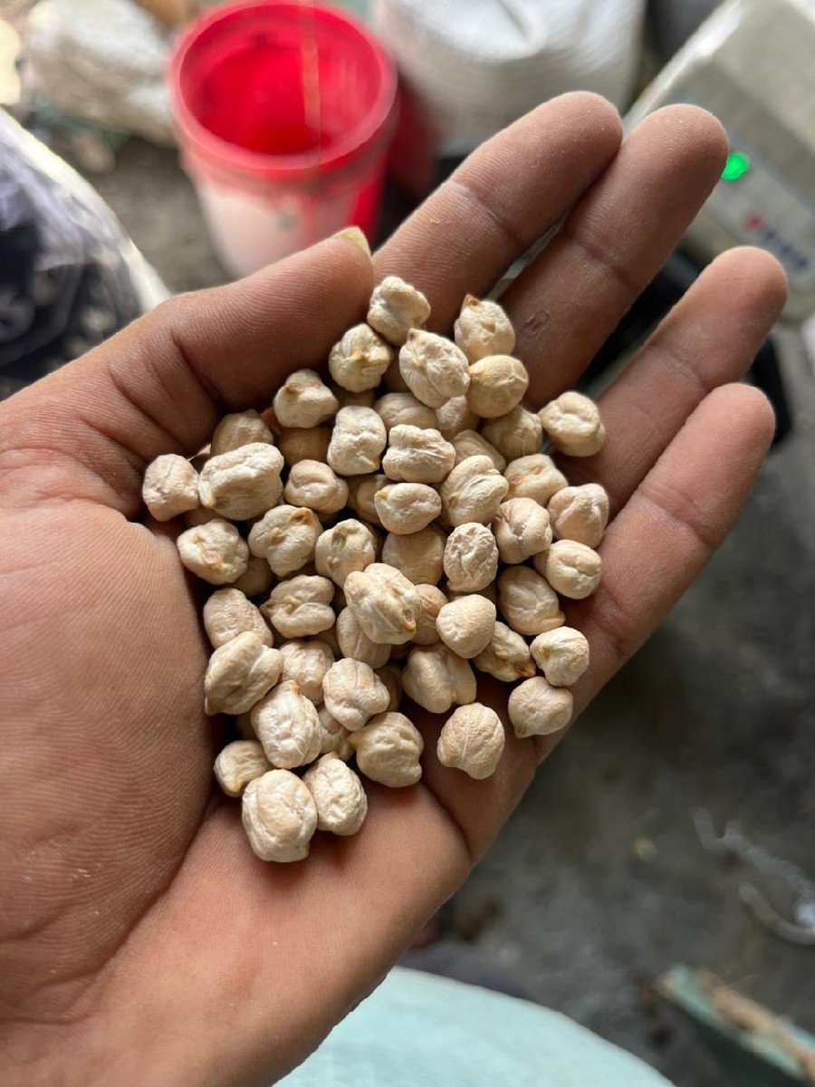 ચણા