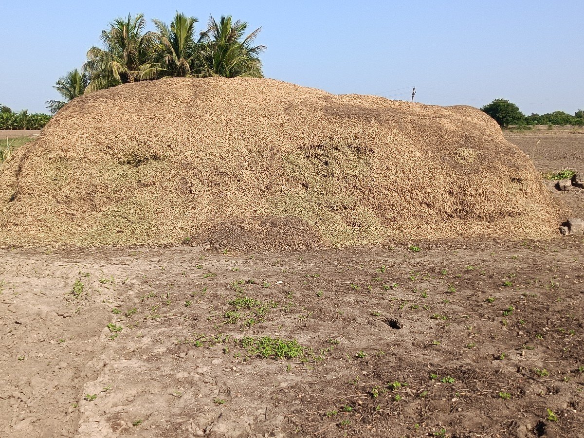12 Vishwanath