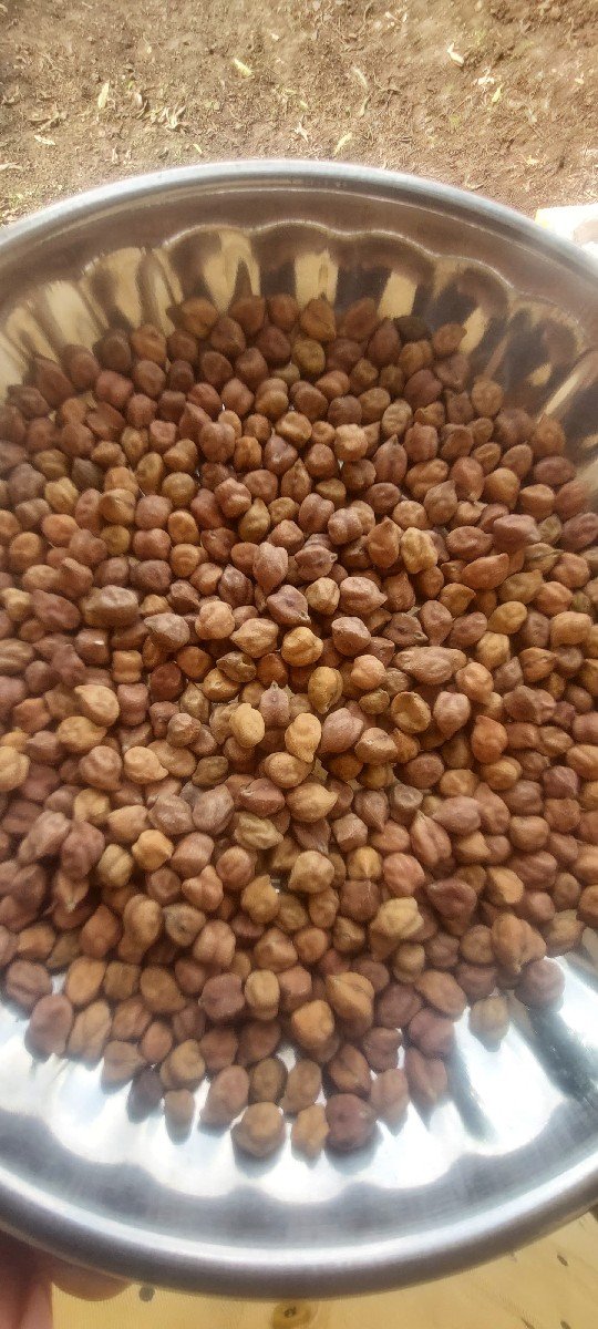 બિયારણ