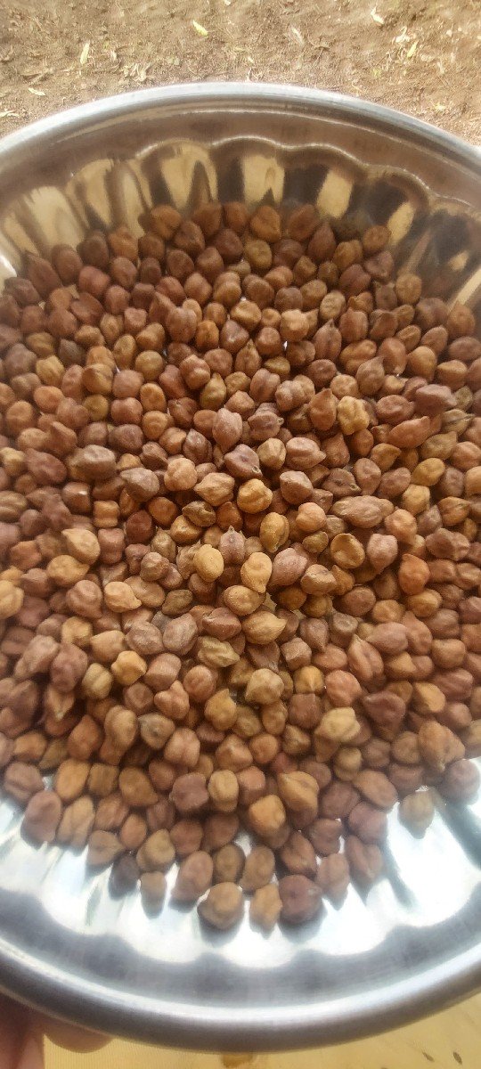 બિયારણ