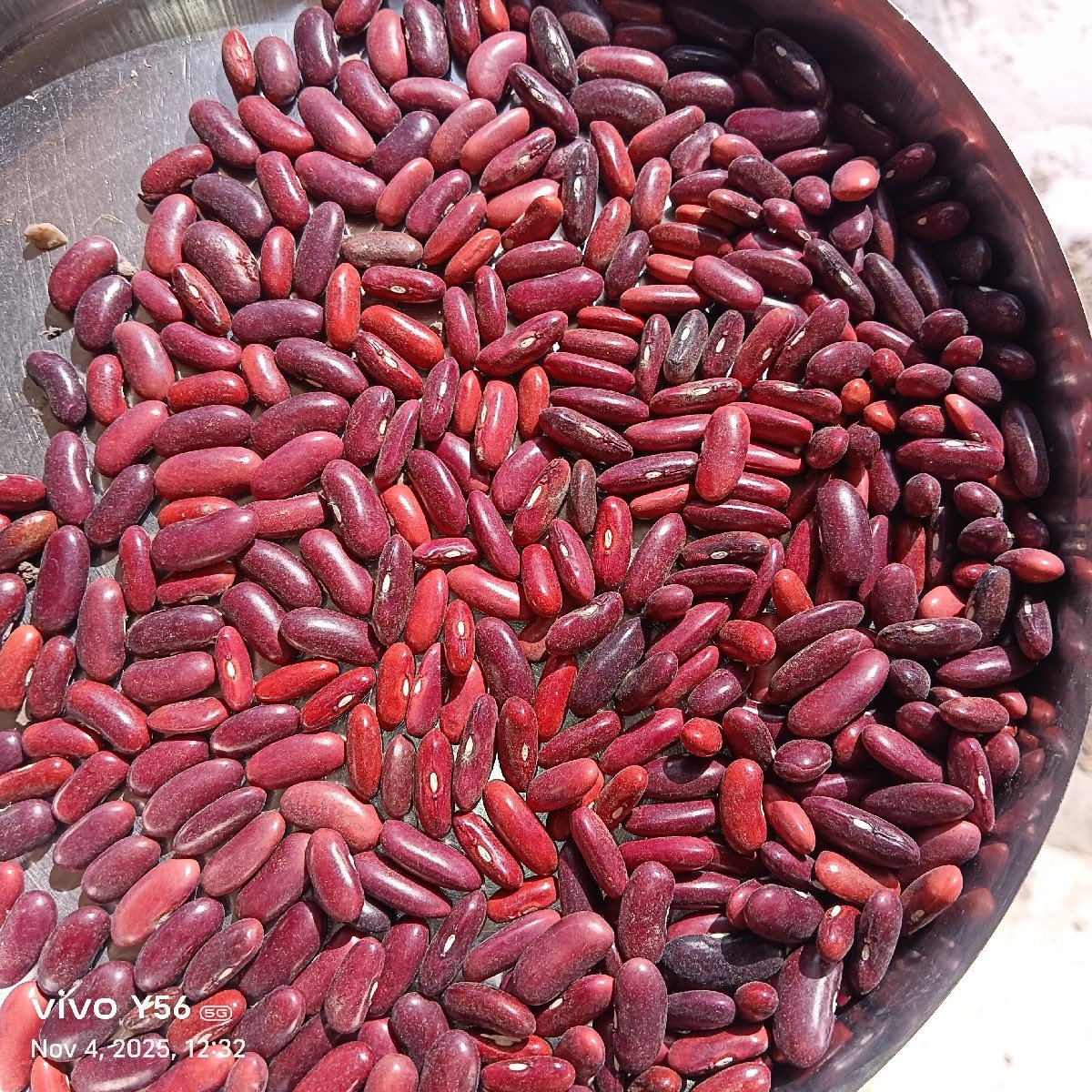 rajma supar