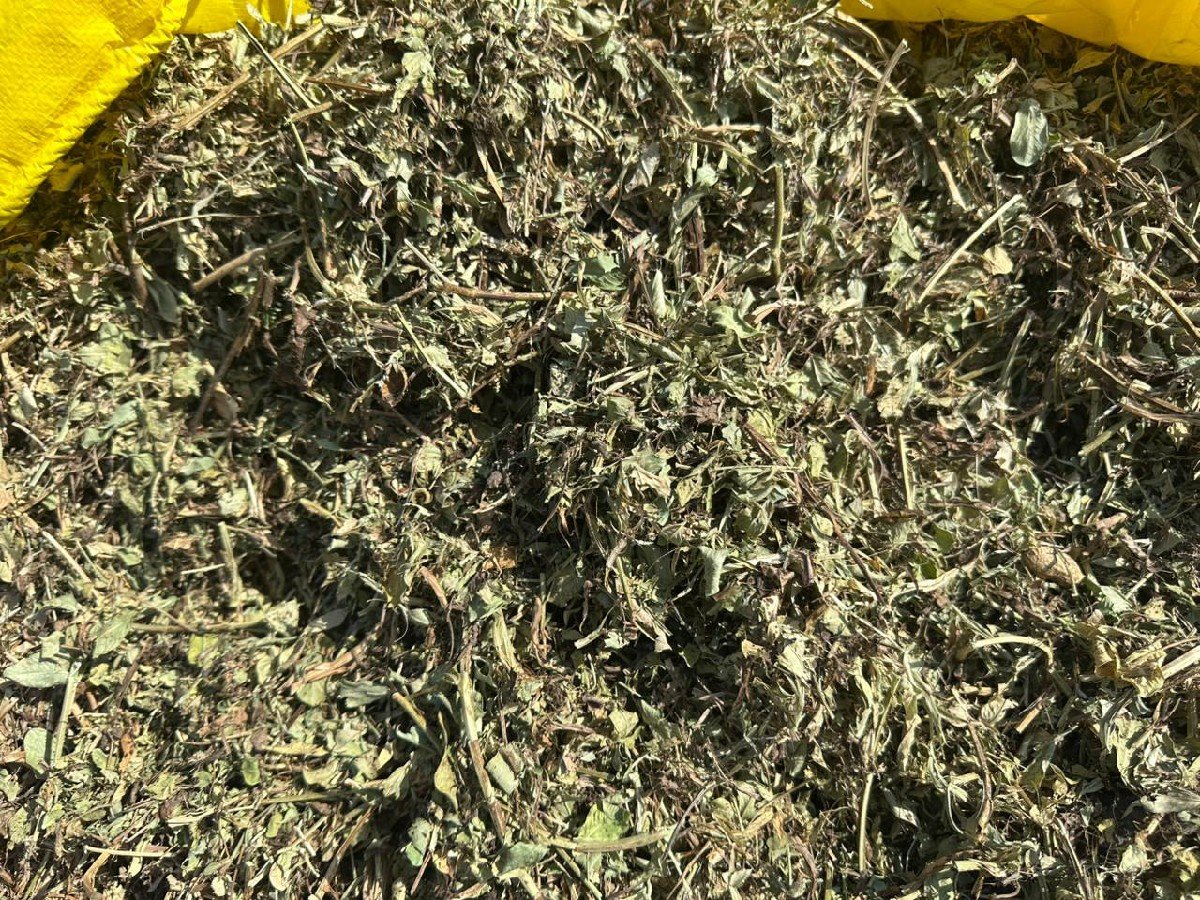 ૨૦ વિઘા નો મગફળી નો ભૂકો