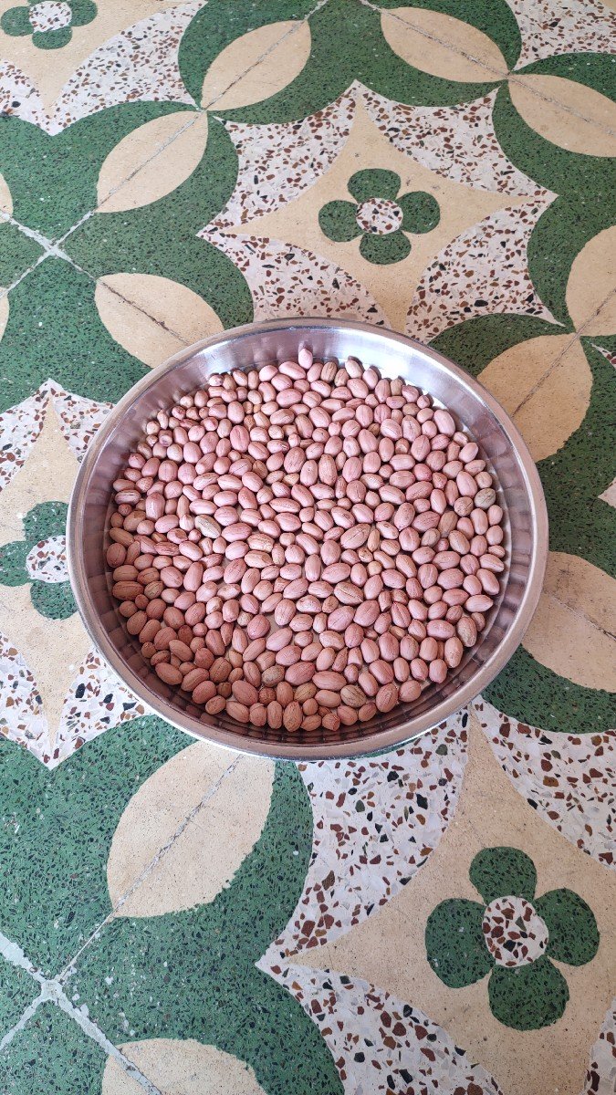 66 નંબર મગફળી વેચવાની છે