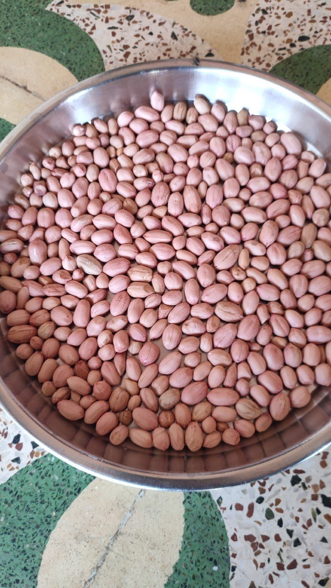 66 નંબર મગફળી વેચવાની છે