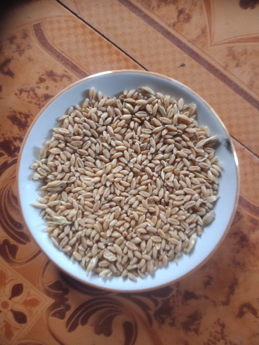 ઘવ લોકવન