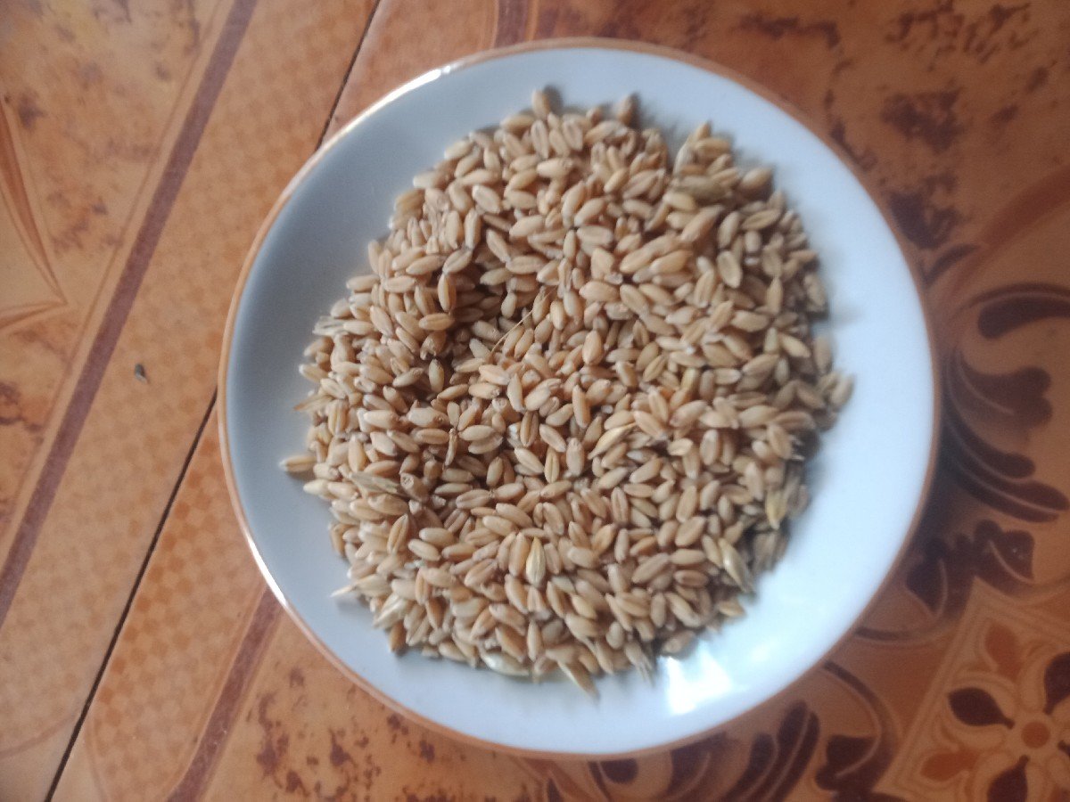 ઘવ લોકવન