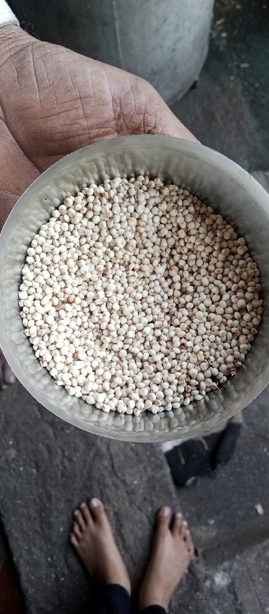 જુવાર વેચવાની છે