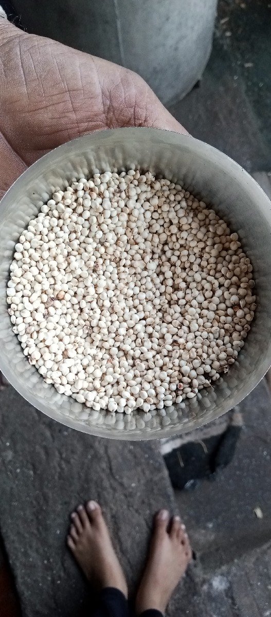 જુવાર વેચવાની છે
