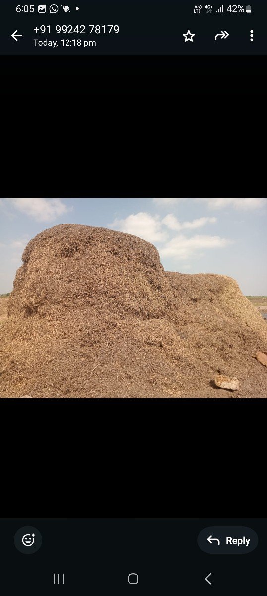 માડવી નો ભુકૌ વેચવાનો છે 25.વી