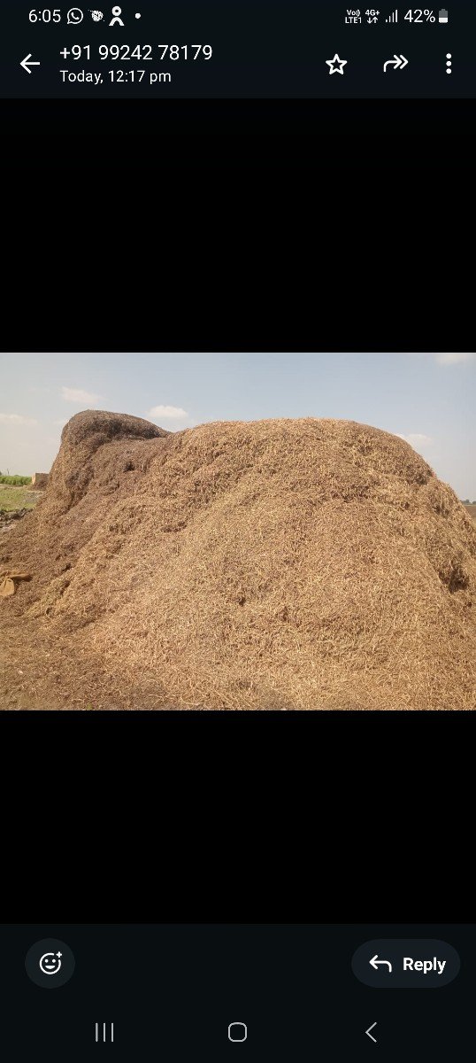 માડવી નો ભુકૌ વેચવાનો છે 25.વી
