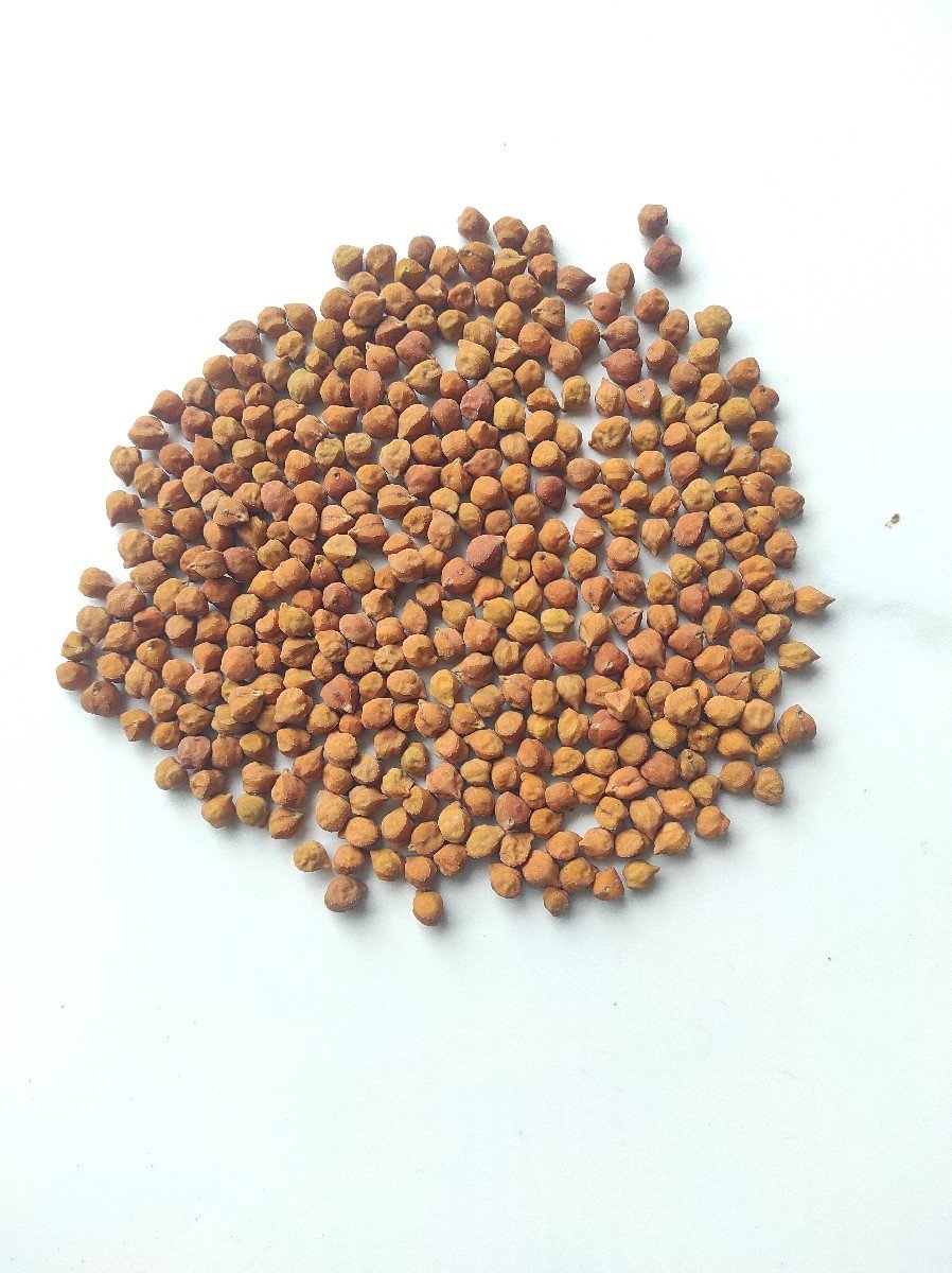 ચણા