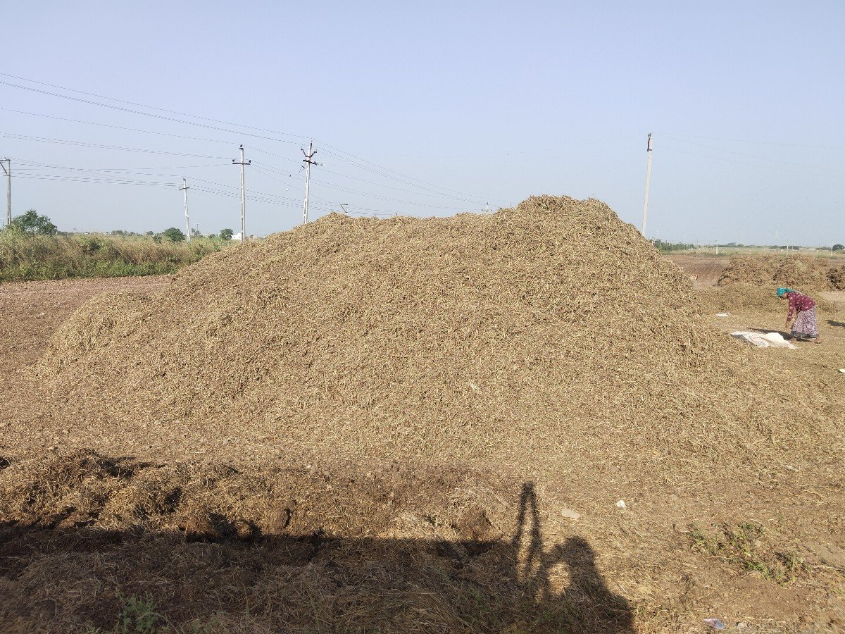 20 વીઘા નો ભૂકો વેચવાનો છે