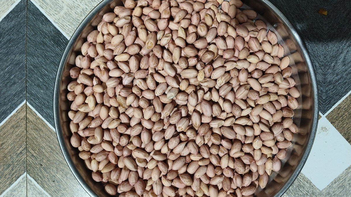 કોરેકોરું છે.....