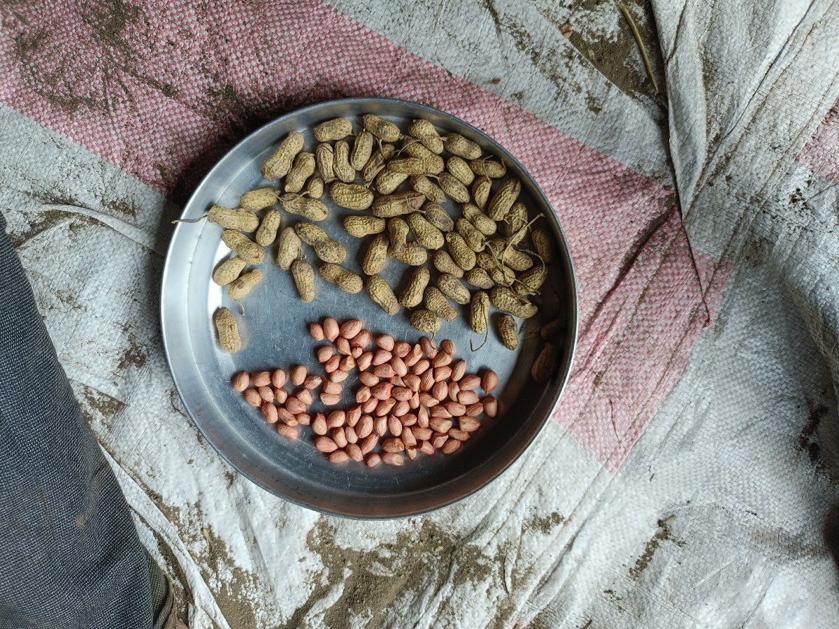 j-20 માંડવી