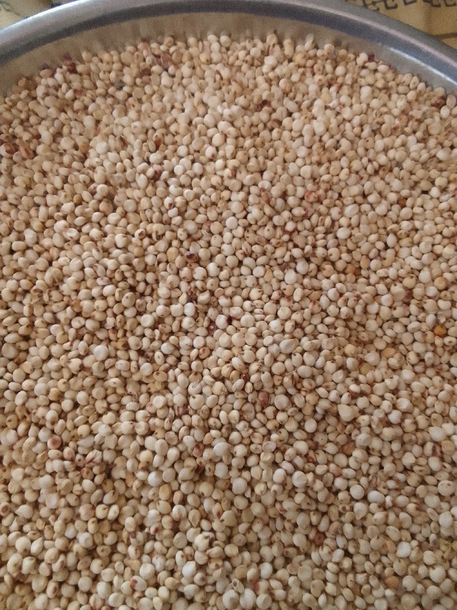 જુવાર વેચવાની છે .