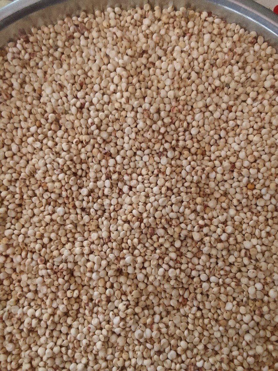 જુવાર વેચવાની છે .