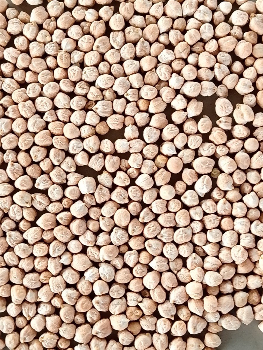 2 નંબર ચના