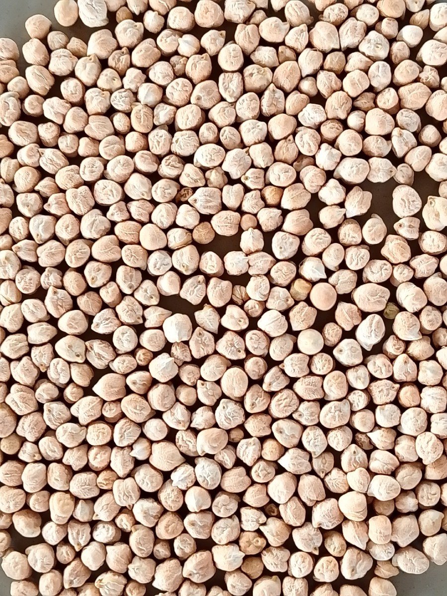 2 નંબર ચના