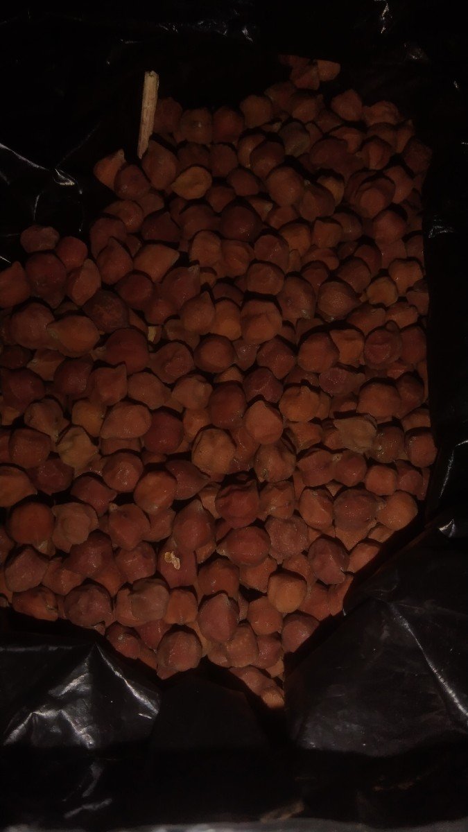 ચણા નું બીયારણ  સગનુ છે 3નંબર