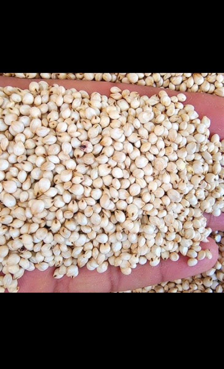 જુવાર વેચવા ની છે.