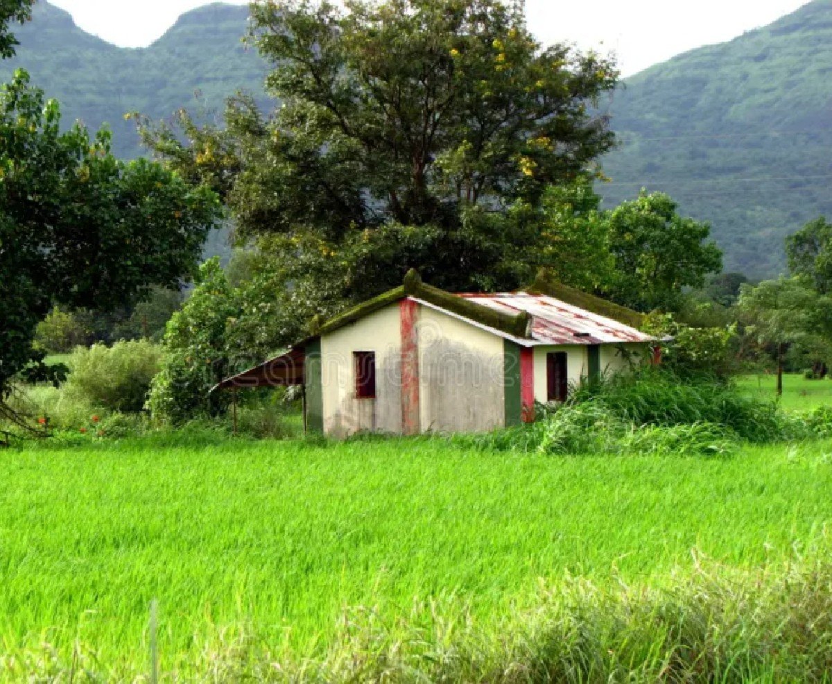 કબ્જા મેટર વાડી જમીન પ્લોટ મકાન