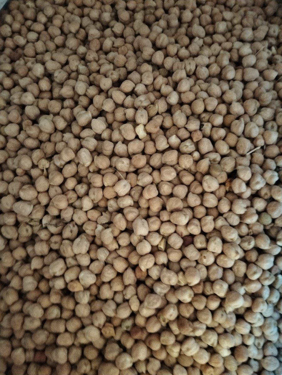 B2 ચણા વેચવાના છે.