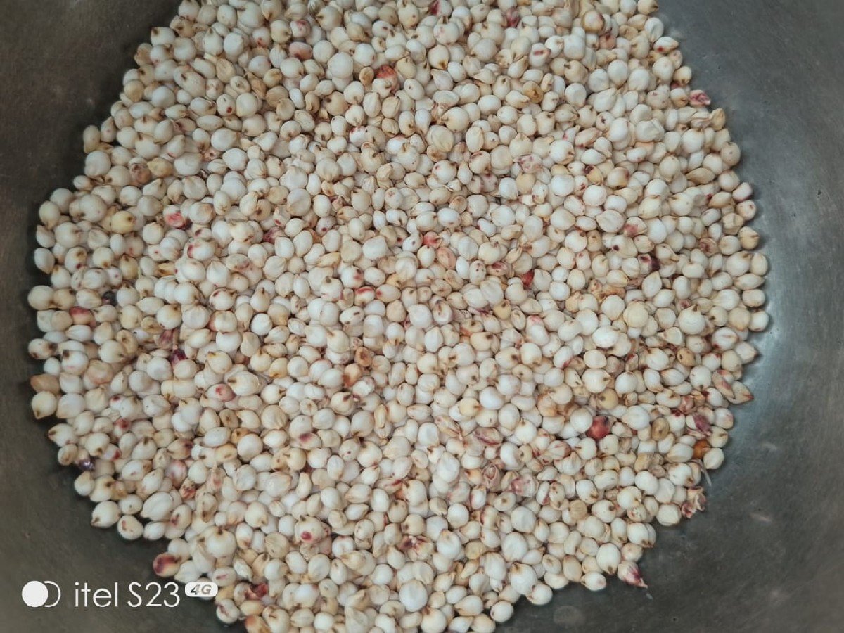 જુવારના દાણા વેચવાના છે