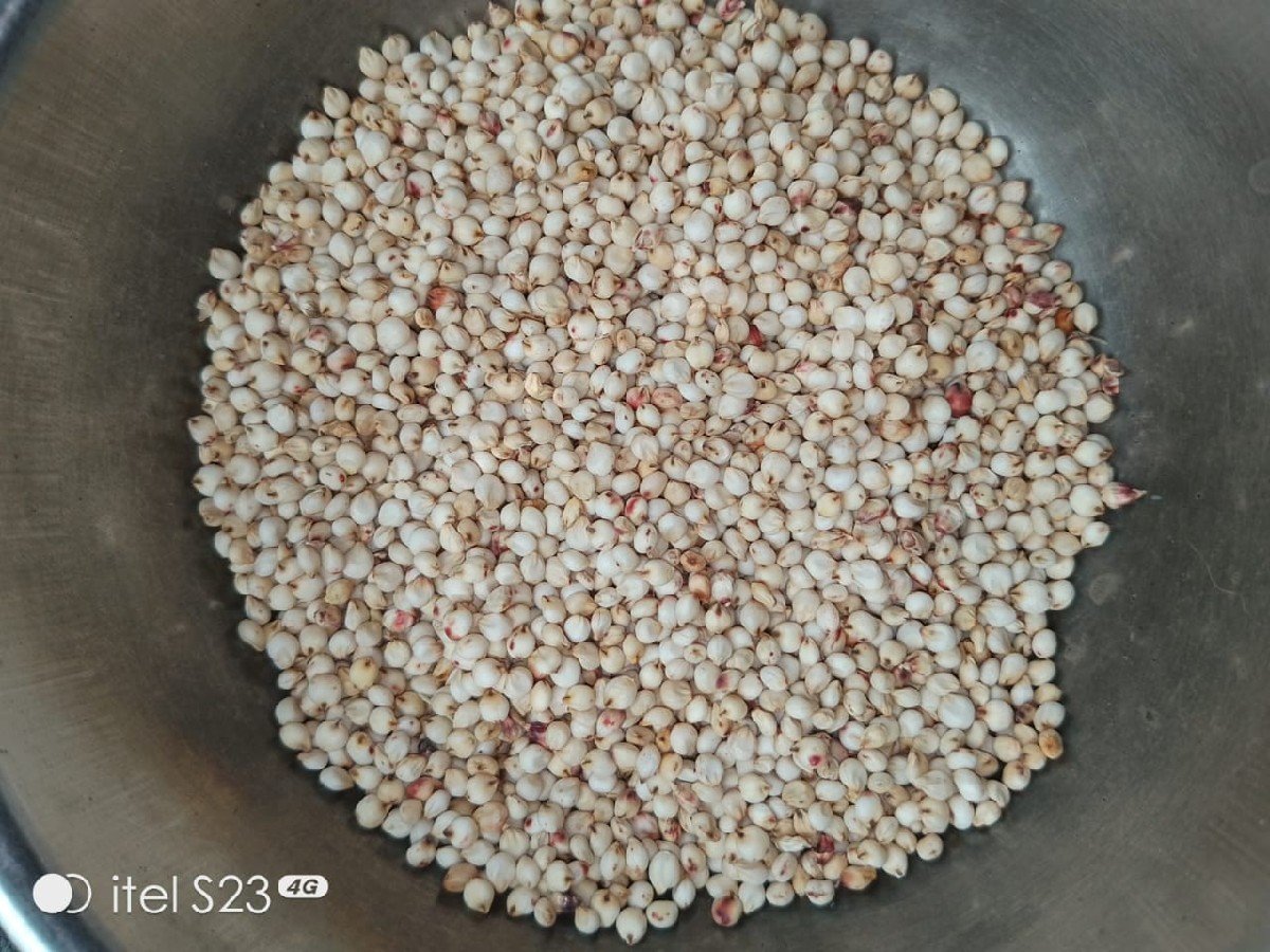 જુવારના દાણા વેચવાના છે