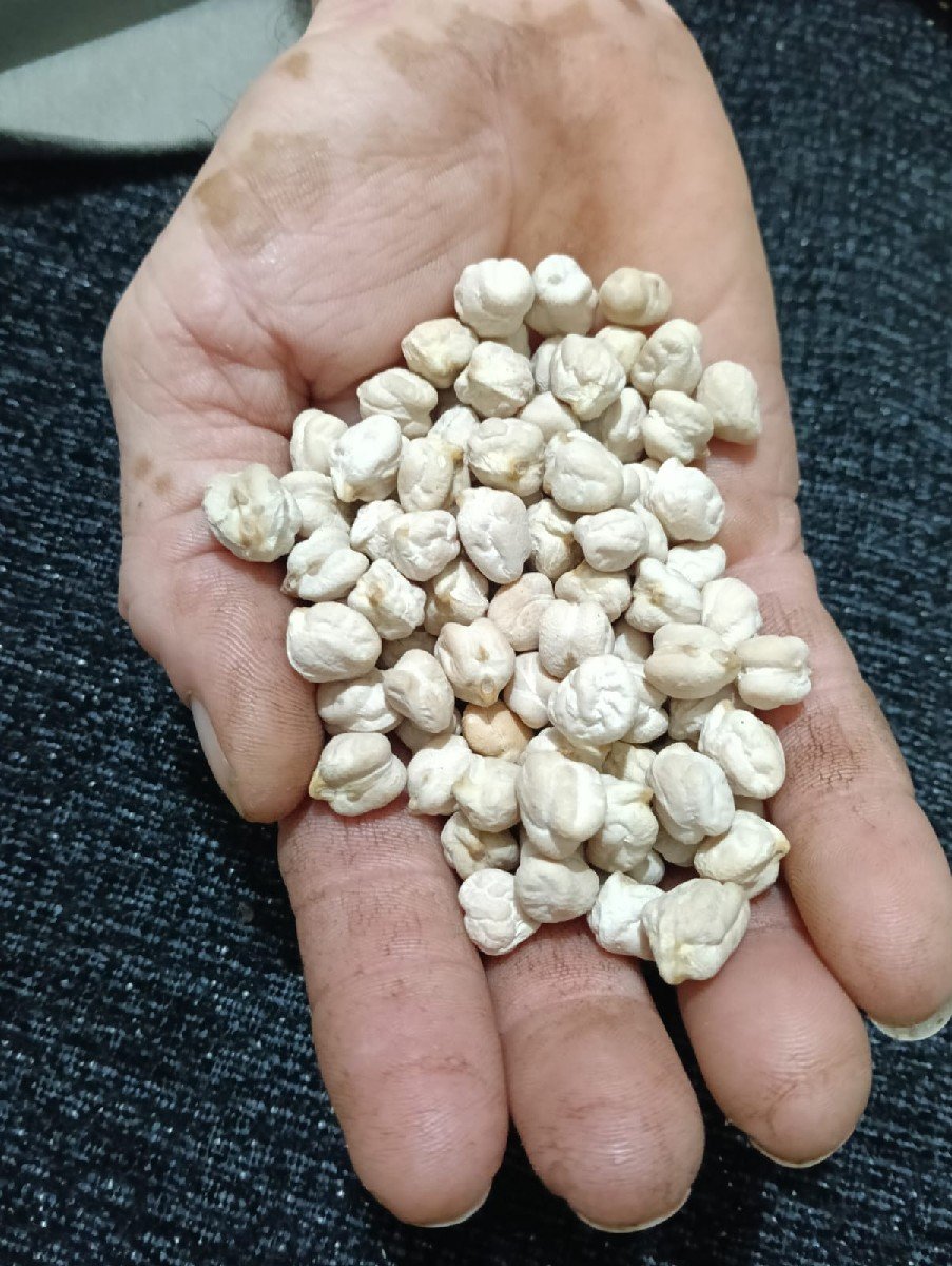 બિયારણ