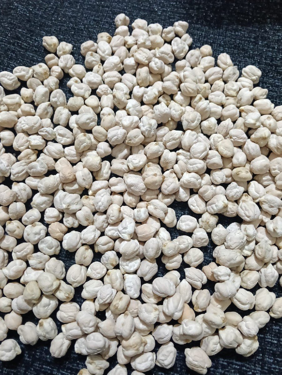 બિયારણ