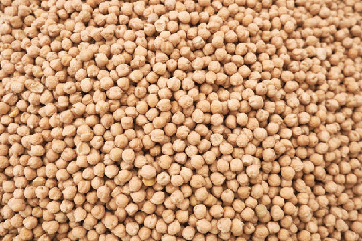 બિટ્ટુ ચણા સફેદ