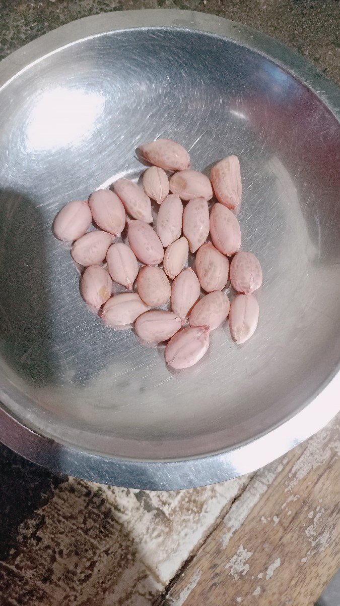 ગિરનાર 4  માંડવી