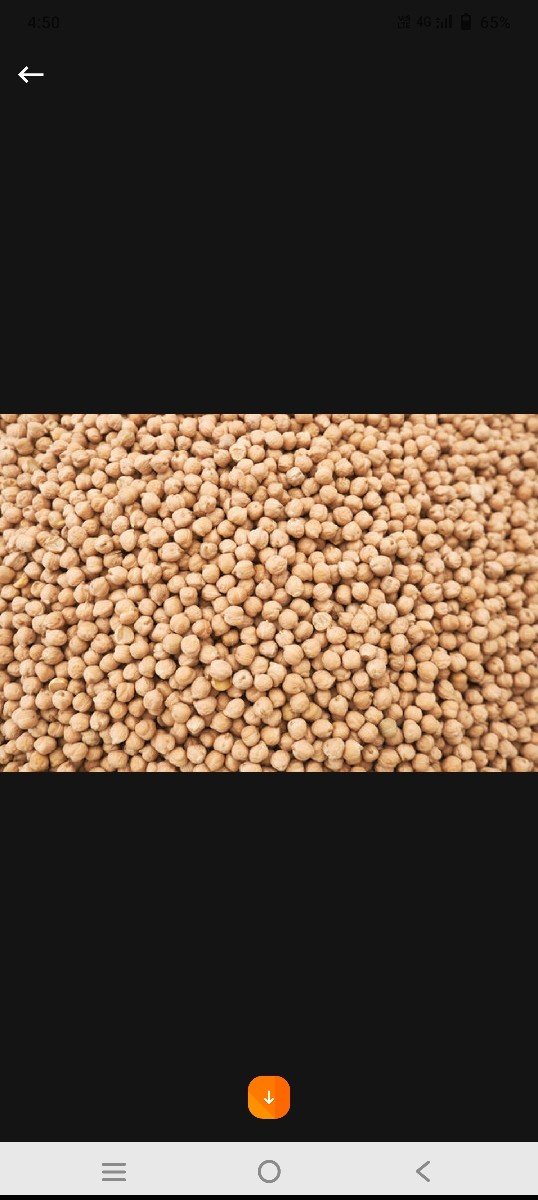 b2 ચણા બિયારણ મા વેચવાના છે