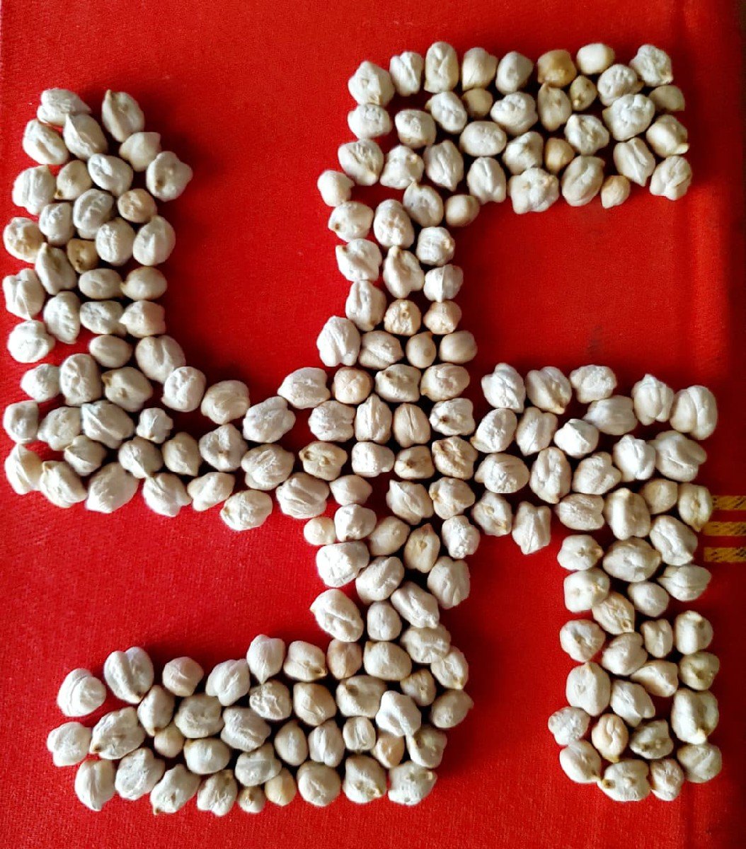 કબૂલી ચણા નુ બિયારણ