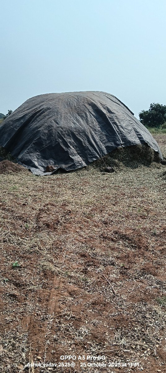 ભુકો 38 વિખાનો se