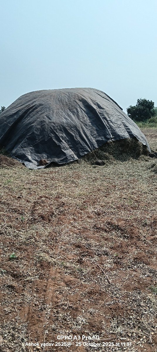 ભુકો 38 વિખાનો se