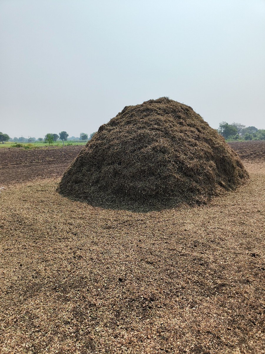 ગિરનાર મગફળીનો પાલો વેચવાનો છે