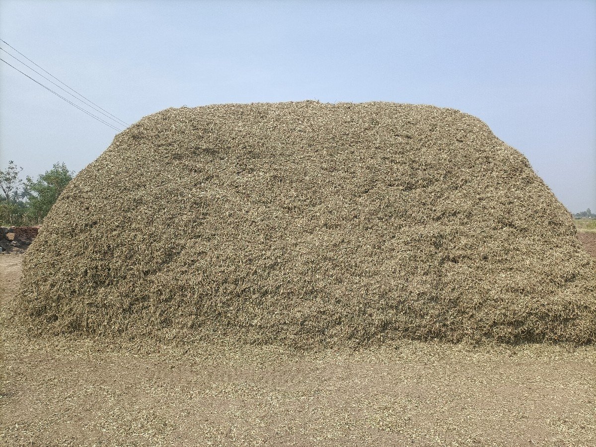 જી વીસ ચારો 10 વીઘાનો વેચવાનો