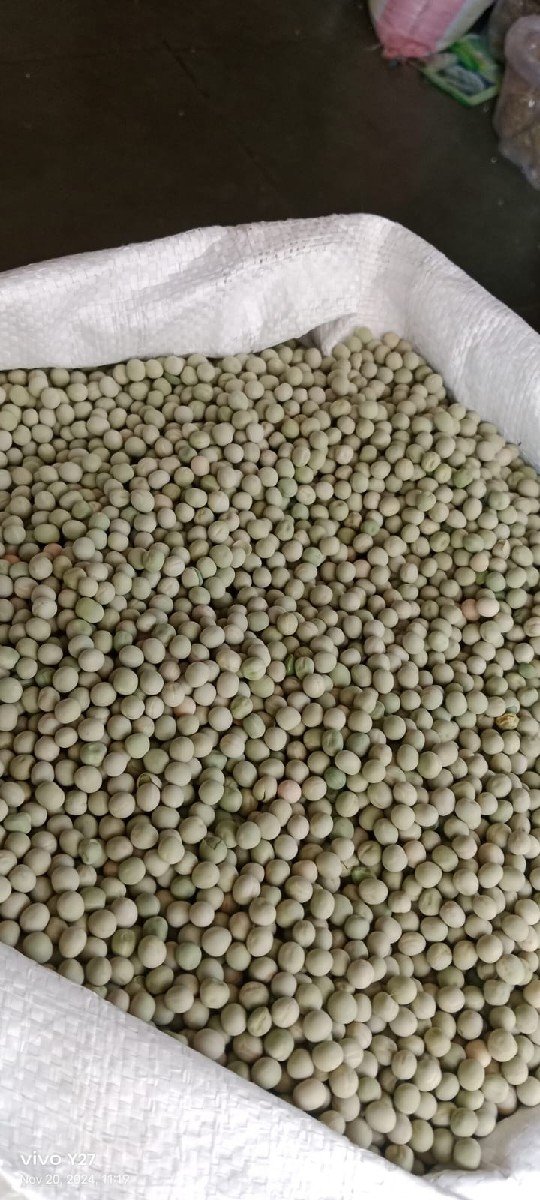 વટાણા વેચવાના છે