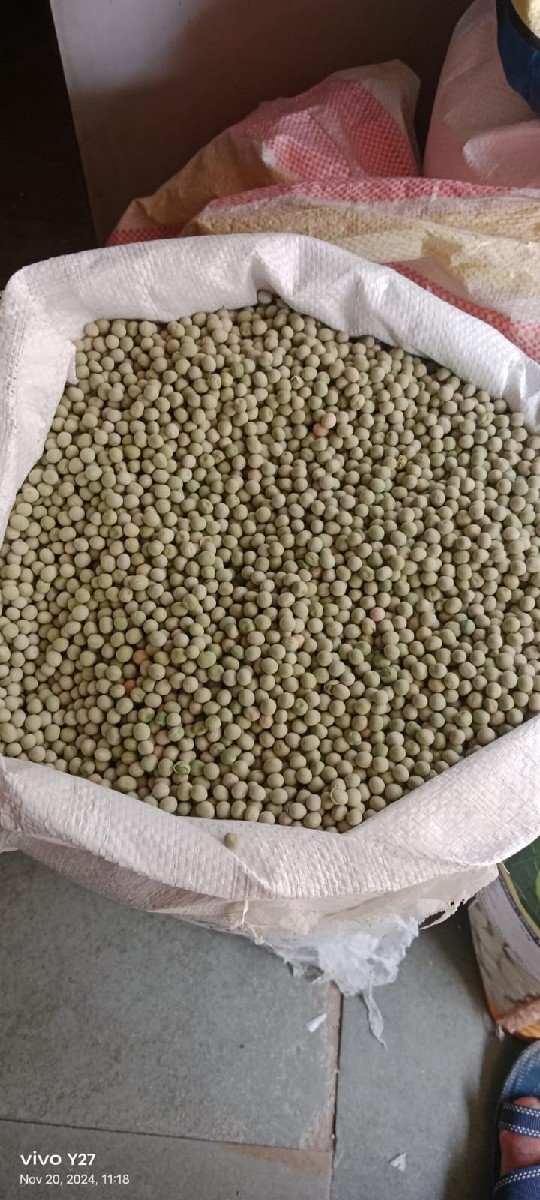 વટાણા વેચવાના છે