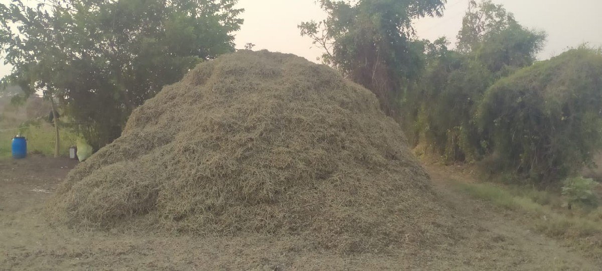 mandvino bhuko  g 20 
5 vigha