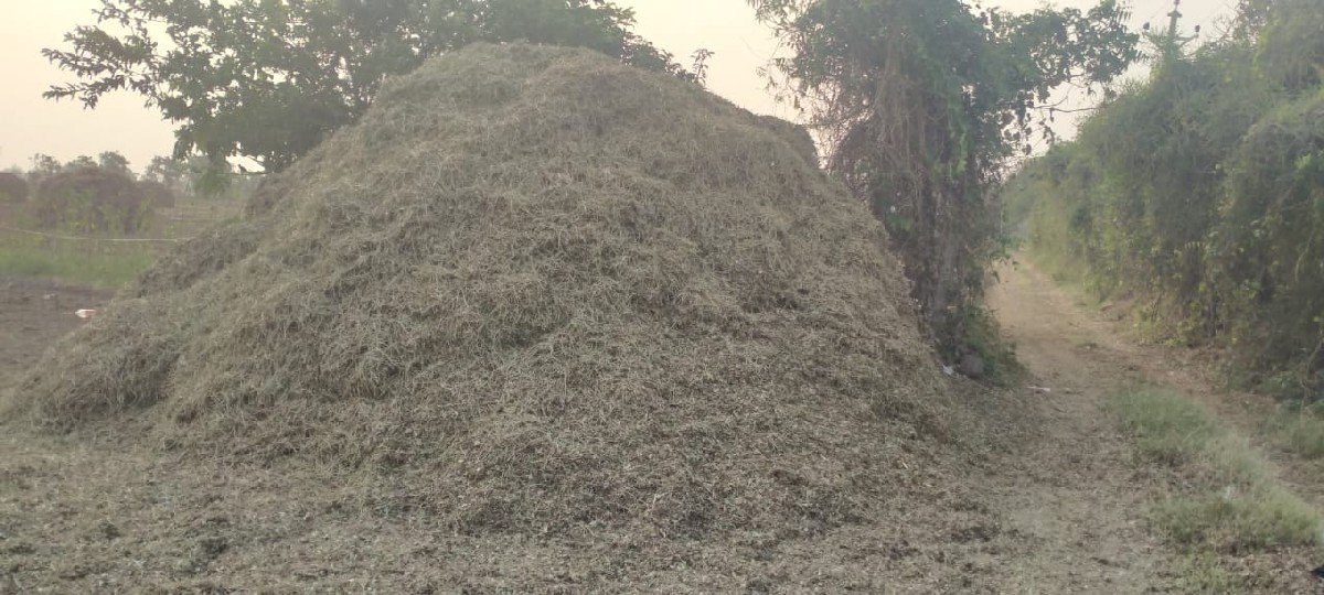 mandvino bhuko  g 20 
5 vigha