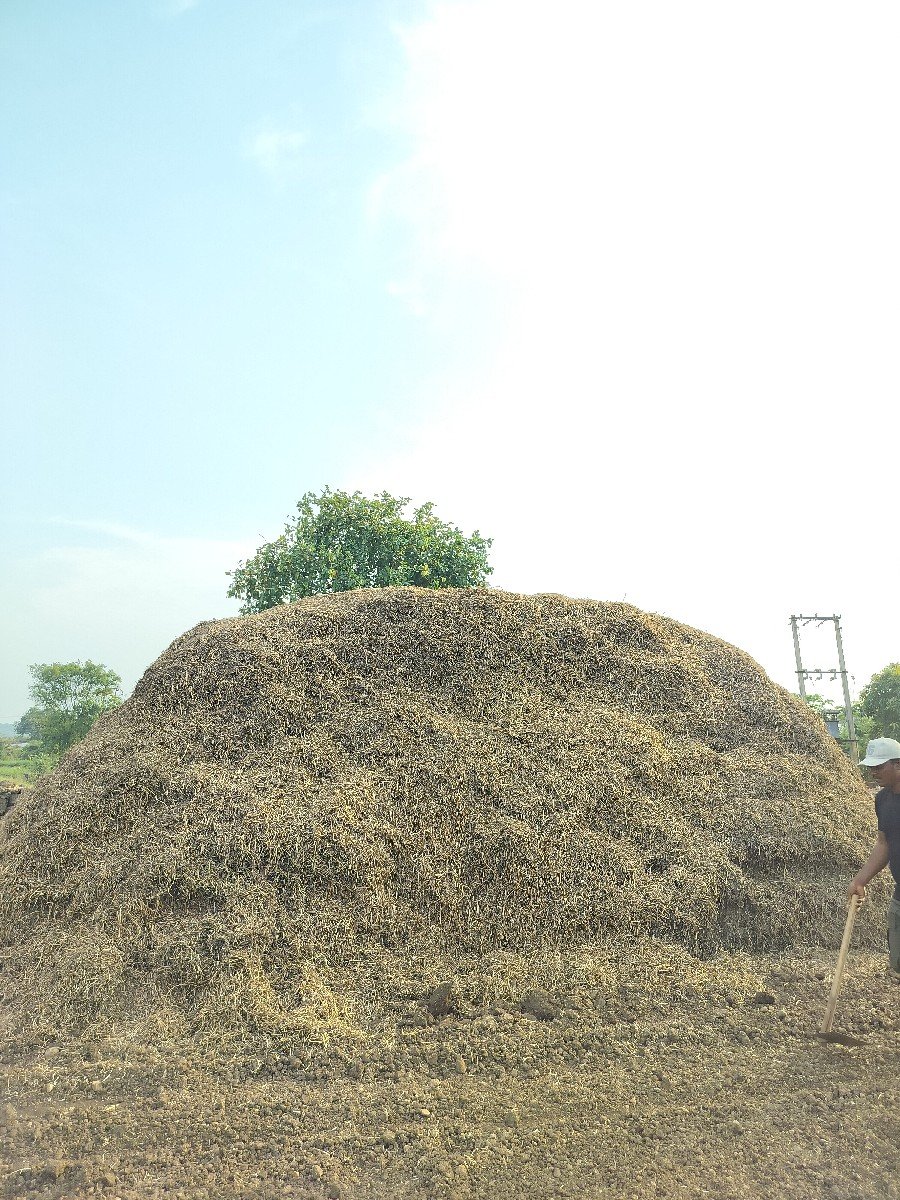 મગફળી નો ચારો વેચવાનો છે