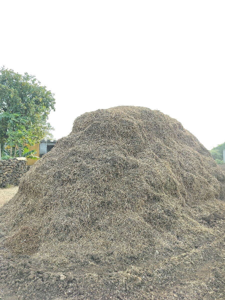 મગફળી નો ચારો વેચવાનો છે