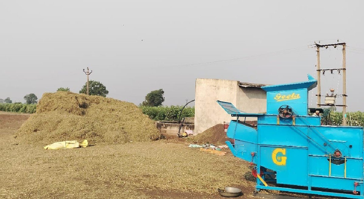માંડવી ભુકો