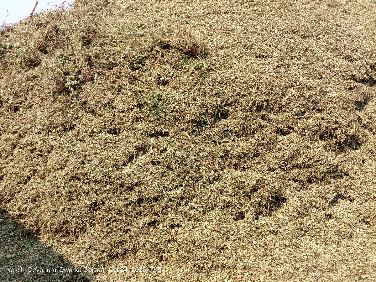 ખેત પેદાશ