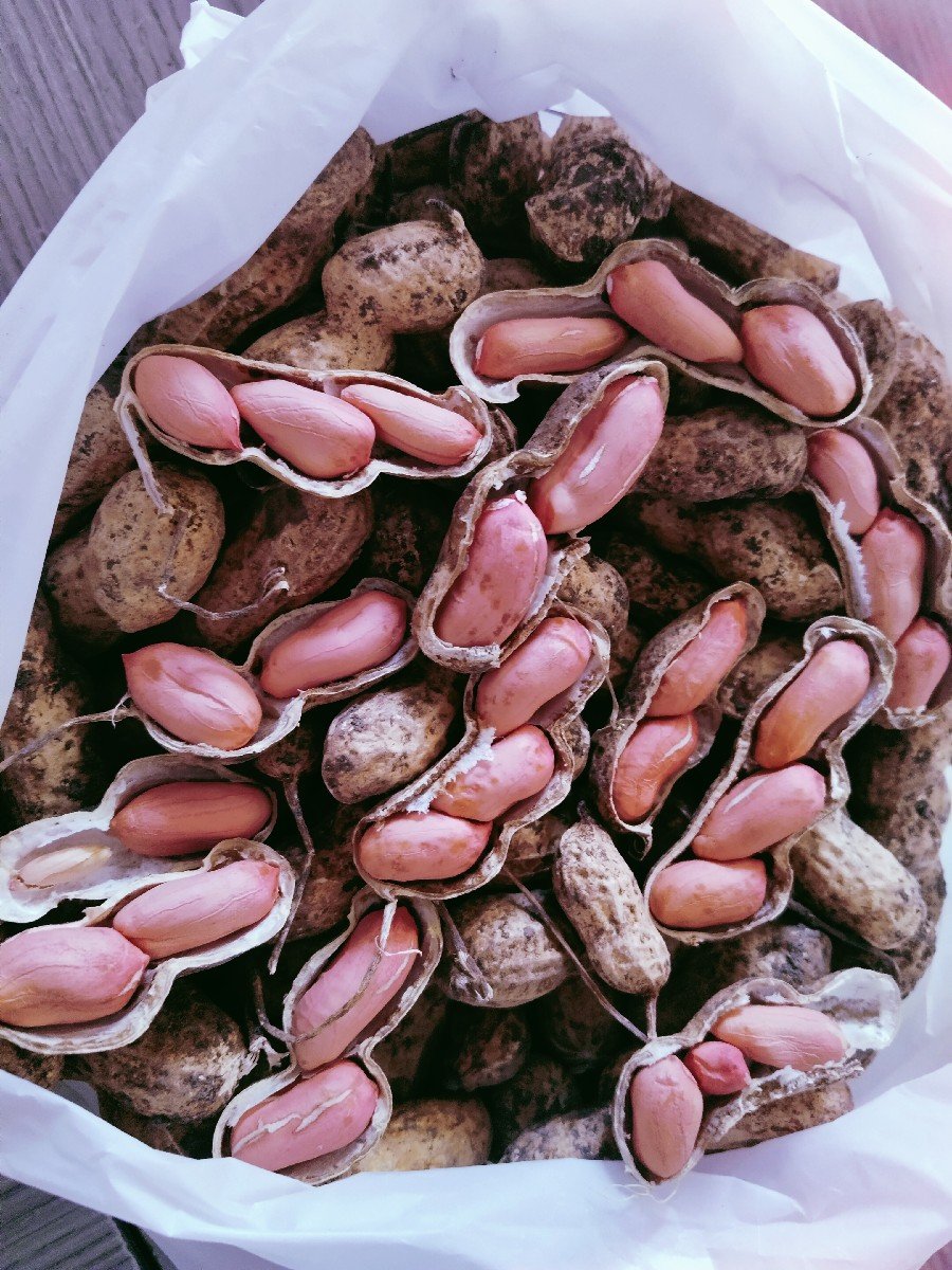 રેમ્બો મગફળી બિયારણમાં વેચવાની છે