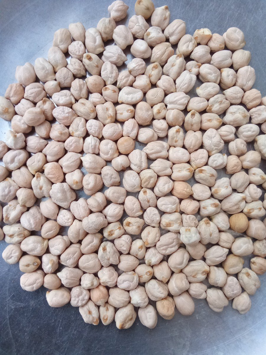 ચણા 1 નંબર કાબુલી